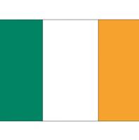 Bellatio 10x Vlag Ierland stickers 10 cm Multi