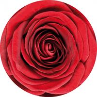 Bellatio 30x Bierviltjes onderzetters rode roos/rozen Rood
