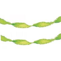 Set van 2x stuks crepe papier slingers lime groen van 6 meter Groen