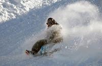 jollydays Schneeschuhwandern und Bobfahrt - Interlaken