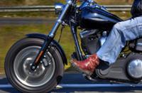 Jollydays Harley Davidson Cruising