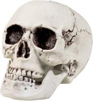 Merkloos Halloween Horror decoratie schedel/doodskop met beweegbare kaak 20 x 15 cm - Feestdecoratievoorwerp