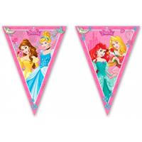 Disney Set van 2x stuks  prinses vlaggenlijnen 2,3 m - Vlaggenlijnen