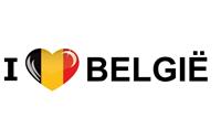 Bellatio Set van 5x stuks i Love Belgie vlag sticker 19.6 cm - Feeststickers