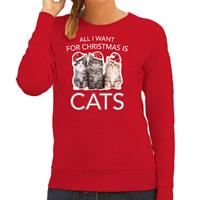 Bellatio Kitten Kerst sweater / outfit All I want for Christmas is cats rood voor dames