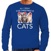 Bellatio Kitten Kerst sweater / outfit All I want for Christmas is cats blauw voor heren
