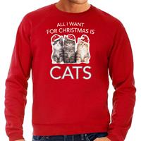 Bellatio Kitten Kerst sweater / outfit All I want for Christmas is cats rood voor heren