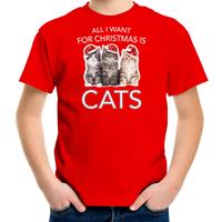 Bellatio Kitten Kerst t-shirt / outfit All i want for Christmas is cats rood voor kinderen