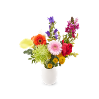 YourSurprise Blumen verschicken - Pflückblumen