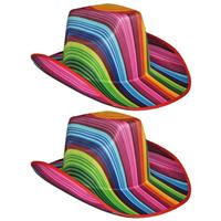 2x stuks gekleurde gestreepte carnaval cowboyhoed -