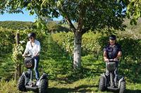 Jochen Schweizer Segway Tour durch die Weingärten von Jois