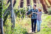 Jochen Schweizer Weingut-Kurzurlaub in der Steiermark für 2