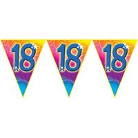 Verjaardag thema 18 jaar geworden feest vlaggenlijn van 5 meter -