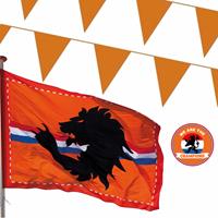Bellatio EK oranje straat/ huis versiering pakket met oa 1x Mega Holland vlag, 100 meter oranje vlaggenlijnen -