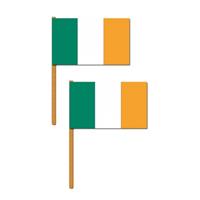 2x stuks luxe zwaaivlag/handvlag Ierland 30 x 45 cm -