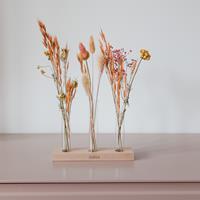 YourSurprise Trockenblumen in 3 Vasen