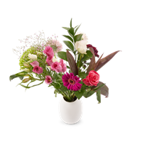 YourSurprise Blumen verschicken - Pflückblumen - Rosa