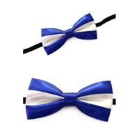 2x stuks verkleed vlinderstrikje blauw met wit -