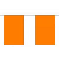 2x stuks luxe oranje koningsdag/ek/wk supporters vlaggenlijn 9 meter van stof -