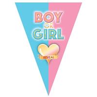 Bellatio 2x stuks gender reveal babyshower thema vlaggetjes slinger/vlaggenlijn van 5 meter -