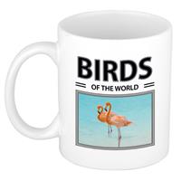 Bellatio Flamingos mok met dieren foto birds of the world -