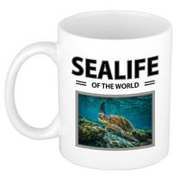 Bellatio Zeeschildpad mok met dieren foto sealife of the world -