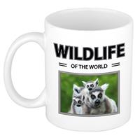 Bellatio Ringstaart maki mok met dieren foto wildlife of the world -