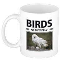 Bellatio Sneeuwuilen mok met dieren foto birds of the world -