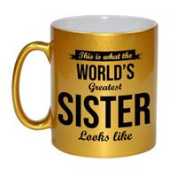 Bellatio Gouden Worlds Greatest Sister cadeau koffiemok / theebeker 330 ml -