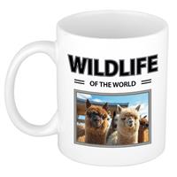 Bellatio Alpaca mok met dieren foto wildlife of the world -