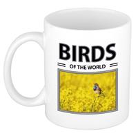 Bellatio Blauwborst vogels mok met dieren foto birds of the world -