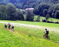 Mydays Mountainbike-Kurs Viechtach