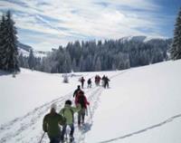 Mydays Schneeschuh-Wanderung Feldberg