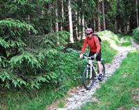 Mydays Mountainbike-Kurs Neuhaus am Rennweg