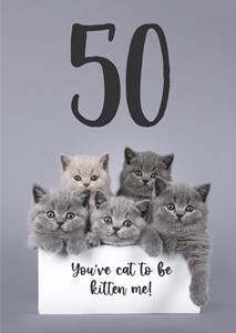 Catchy Images  Verjaardagskaart - Katten