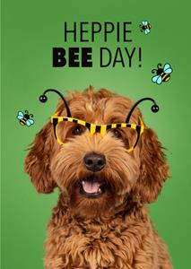 Catchy Images  Verjaardagskaart - Heppie Bee Day!