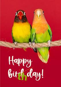 Catchy Images  Verjaardagskaart - Vogels