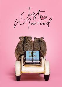 Catchy Images  Huwelijkskaart - Just Married