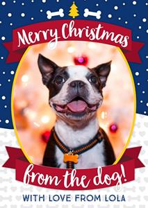 Greetz  Kerst - Hond - Foto