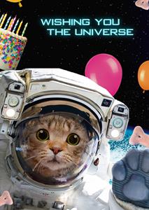 TMS  Verjaardagskaart - kat - universum