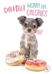 Studio Pets  Verjaardagskaart - Donut Worry
