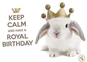 Studio Pets Verjaardagskaart met konijn