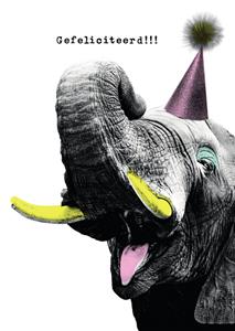 Papagrazi  Verjaardagskaart - olifant