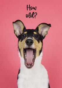 Catchy Images  Verjaardagskaart - hondje