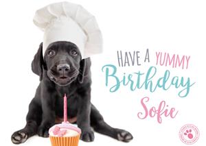 Studio Pets Verjaardagskaart -  - Schattig - Puppy