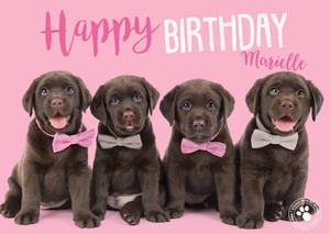 Studio Pets  Happy birthday - Honden - Met naam
