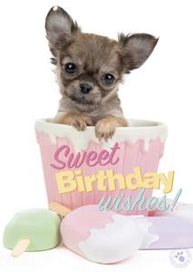 Studio Pets  Verjaardagskaart - hondje - ijsje