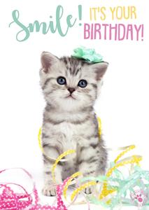 Studio Pets  Verjaardagskaart - kat - confetti