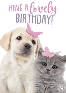 Studio Pets  Verjaardagskaart - schattig
