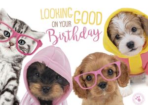 Studio Pets  Verjaardagskaart - stoer - hondjes